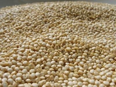 供应藜麦是孕产妇婴幼儿的优质营养源