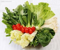 供应苏州蔬菜配送_食品配送_配送公司-有机绿色蔬菜配送基地