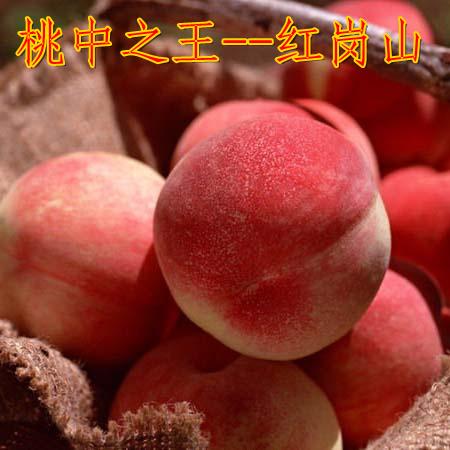 大量供应的河北保定桃子批发市场 红岗山桃质图片