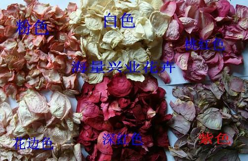 供应干月季花蕾供应|玫瑰干花花瓣图片