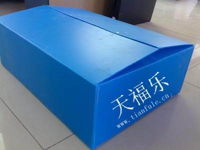 青岛市中空板大姜蔬菜包装箱厂家供应中空板大姜蔬菜包装箱