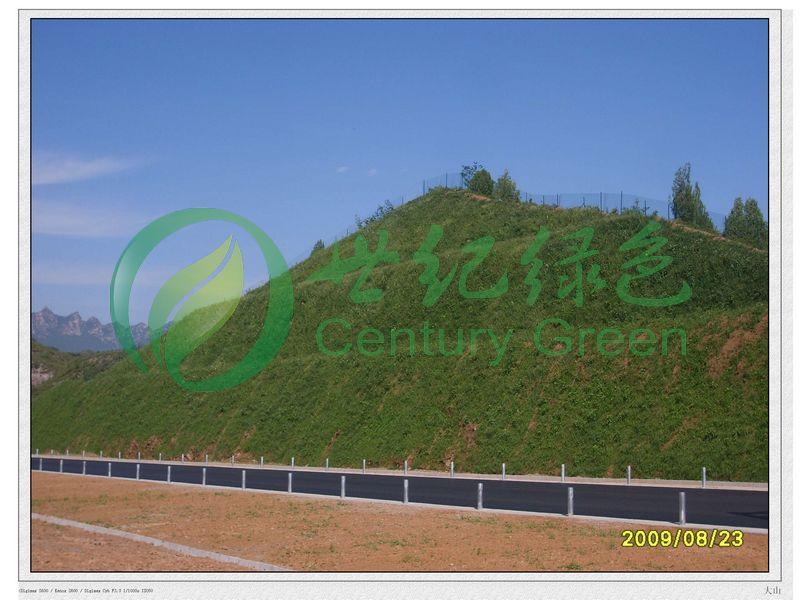 供应用于边坡的边坡绿化工程