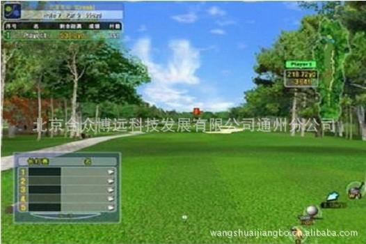 北京市高尔夫球杆厂家供应高尔夫球杆