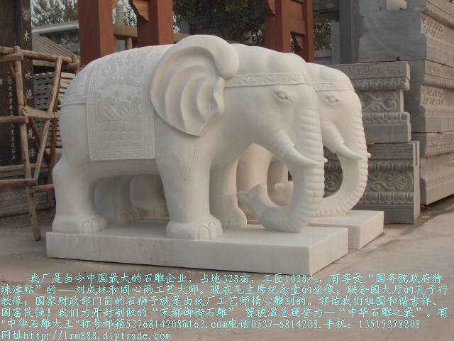 石雕象汉白玉石象，石雕大象，盛世有象等各种造型石雕大象，石雕动物