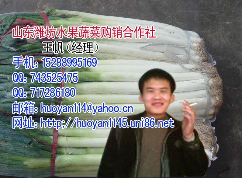 潍坊市安丘土特产厂家供应安丘土特产