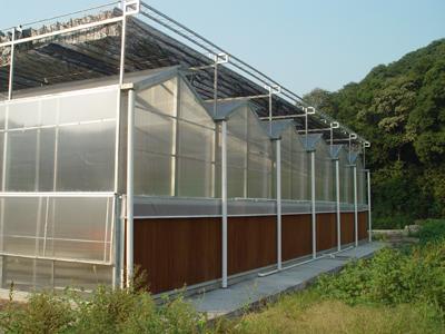 供应温室苗床系统和遮阳系统图片