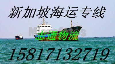 供应中国到新加坡海运专线