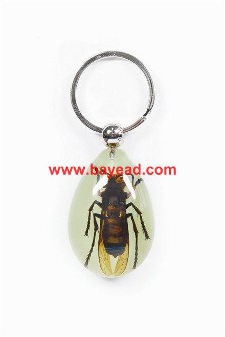 深圳市昆虫标本昆虫钥匙扣琥珀工艺品厂家供应昆虫标本昆虫钥匙扣琥珀工艺品