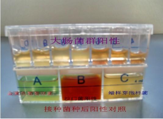 供应大肠菌和六种致病菌检测试剂盒 10套/盒 