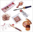 化妆品一般贸易进口代理批发