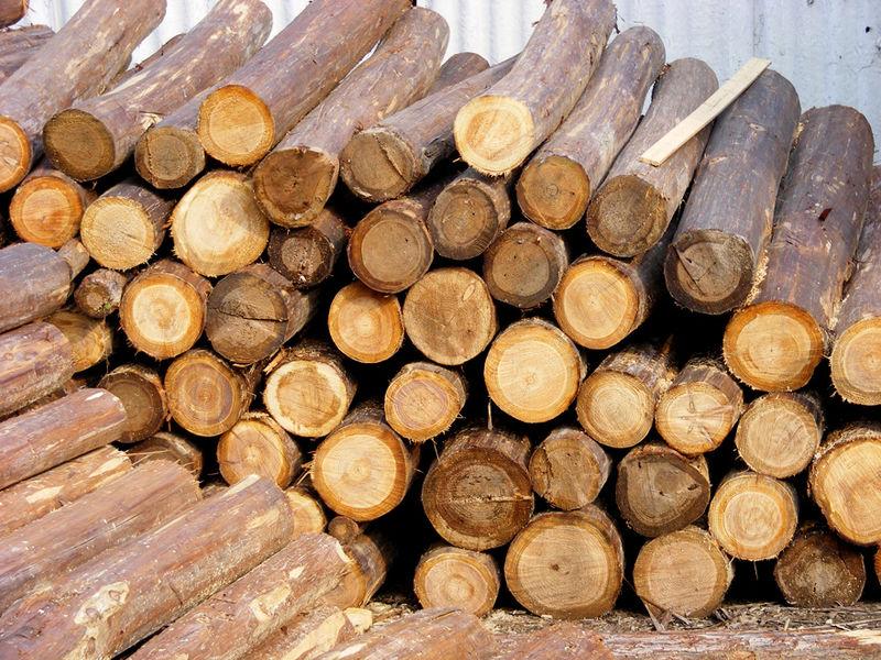 东莞木材进口代理批发