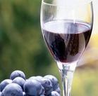 红酒进口流程,如何进口法国葡萄酒,红酒进口到中国的一般操程序