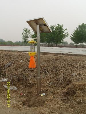 供应北京太阳能灭虫灯