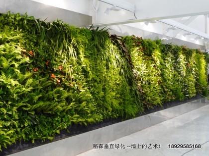 广州市绿墙越来越成功的植物建筑厂家绿墙：越来越成功的“植物建筑”绿墙越来越成功的植物建筑