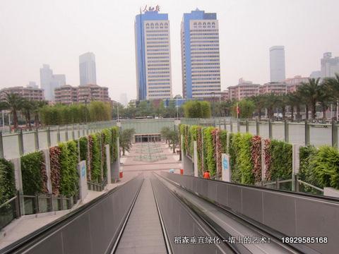 立体绿化植物墙与布兰克在广州