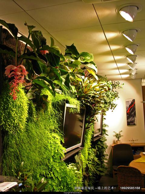 广州市植物墙垂直绿化在南宁厂家植物墙垂直绿化在南宁