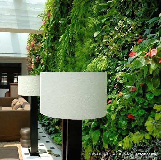 广州市随心所欲的植物墙垂直绿化厂家