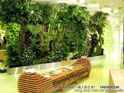 随心所欲的植物墙垂直绿化