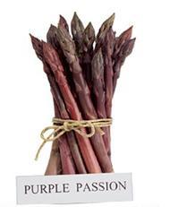 供应甜紫芦笋种子-紫色太平洋品种最多
