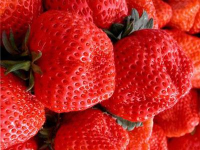 供应丰香草莓苗大量批发草莓栽子图片