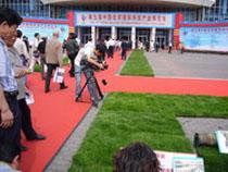 北京哪里卖绿化用的草坪北京卖草坪批发