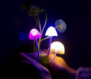 蘑菇灯陶瓷树脂LED夜灯生日礼物批发