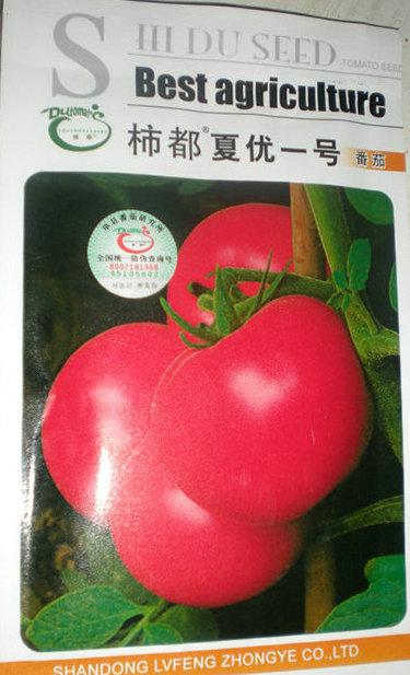 供应柿都夏优一号番茄种子西红柿种子出售价格顺禾源种子公司