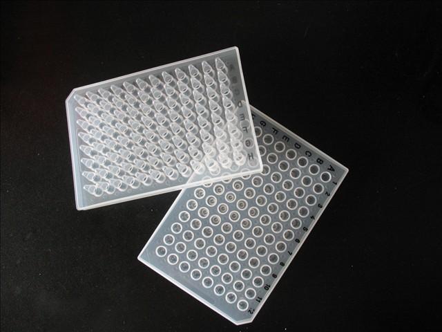 供应96孔透明PCR板 axygen