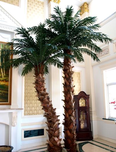 供应室内外大型仿真棕榈树仿真椰子树图片
