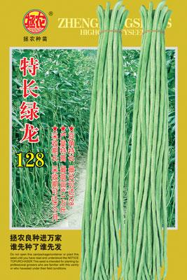 供应豇豆种子特长绿龙128
