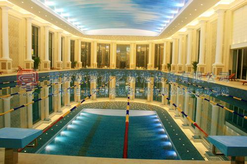 供应重庆恒温泳池公司报价电话 酒店泳池设备安装维护