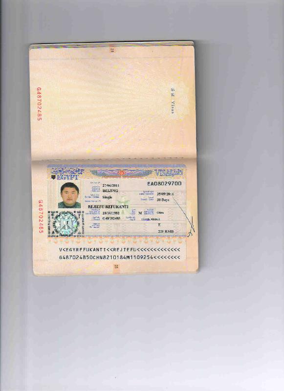 供应办理埃及签证需要什么材料