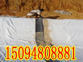 三门峡膨润土防水毯厂家长期供应低价GCL钠基防水垫——
