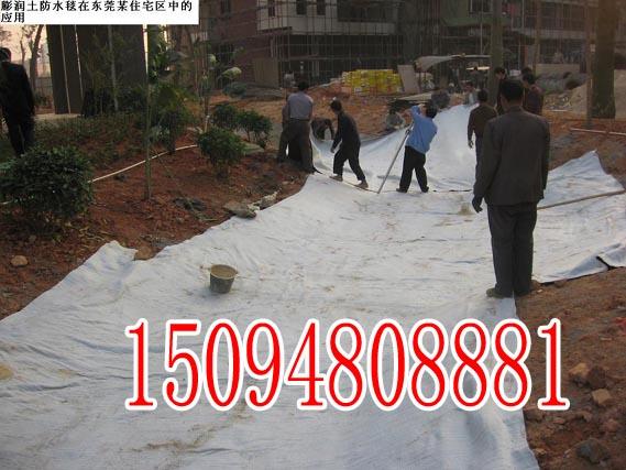 徐州防水毯生产厂家∮∮徐州钠基膨润土防水垫厂家订货24小时发货