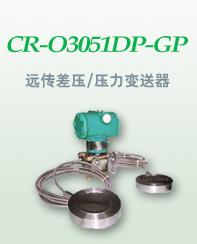 DMP3051工业型压力/差压变送器