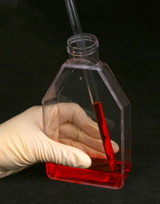 供应一次性细胞培养瓶型号规格