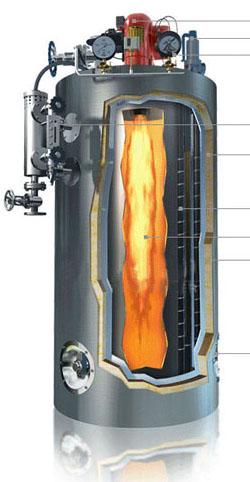 供应立式燃油气蒸汽锅炉