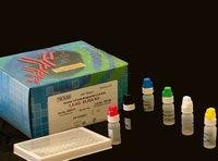 IL-1β 人白介素1β试剂盒人白介素1试剂盒