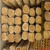 供应上海非洲金丝柚原木进口清关代理图片