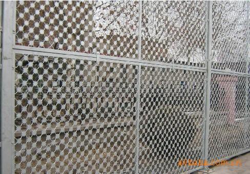 衡水市吉林省生产梅花刺围栏围网护栏网厂厂家