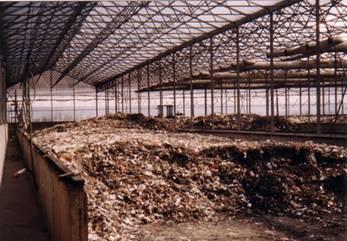 供应生活垃圾堆肥用发酵菌/生活垃圾堆肥用发酵菌批发