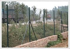 供应园林围栏网，单位绿地防护网，草坪围栏网图片