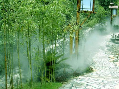 供应生态植物园喷雾加湿园林造雾雾森