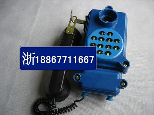 温州市矿用本安型防水电话机HBZGk-1厂家
