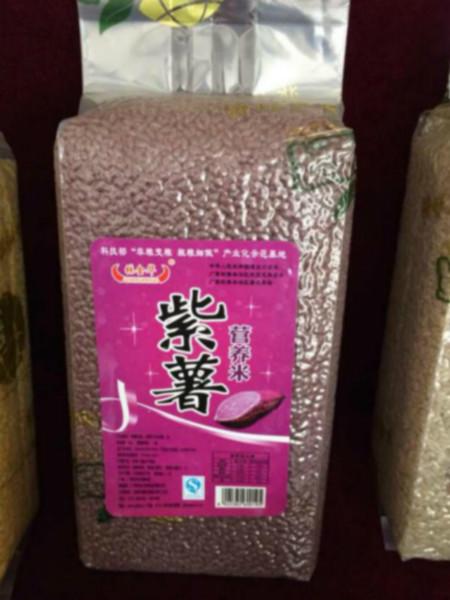 供应紫薯营养米/紫薯营养米批发/营养米批发价格
