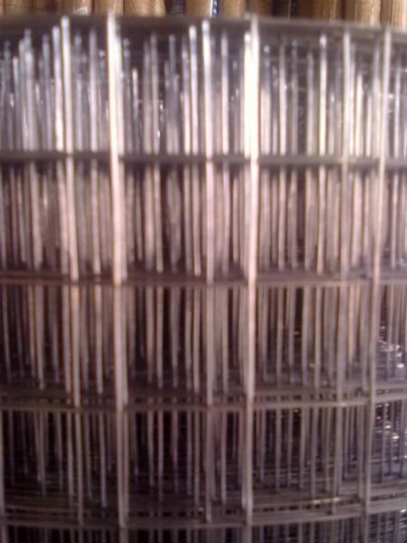 供应外墙保温网 镀锌电焊网 铁丝网 排焊网