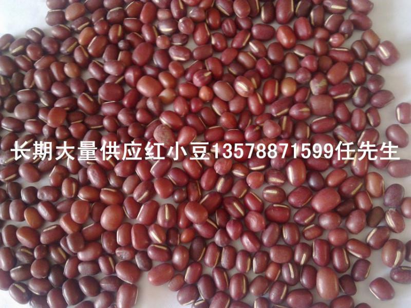 供应东北产地优质红小豆出口级红小豆