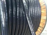 供应电线电缆高低压电缆耐火电缆图片