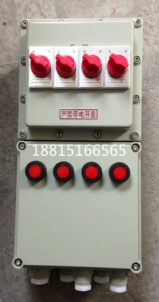 供应BXM-DIP粉尘防爆照明动力配电箱