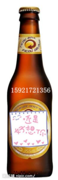 供应上海进口啤酒所需报关资料